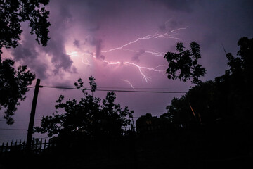 Lightning Amongst the Trees Cloud to Cloud