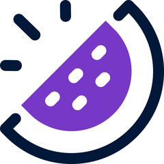 watermelon icon. vector dual tone icon for your website, mobile, presentation, and logo design.