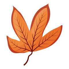 autumn colored bright leaf highlighted on a white background. vector illustration