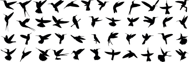 Set of 45 item honey bird silhouette vector illustration	