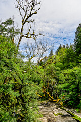 Les Brenets, le lac des Brenets, Felsen, Felswände, Doubs, Fluss, Le Locle, Ausflug, le Saut-du-Doubs, Jura, Juramassiv, Wald, Wanderweg, Sommer, Kanton Neuenburg, Schweiz