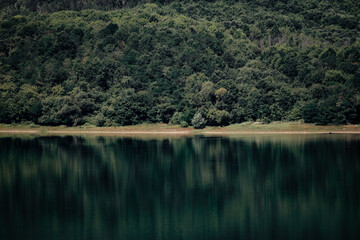 Forest reflection on a clear lake in Hunedoara, Romania