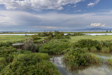 Fototapeta premium regional nature reserve of the mouth of the Isonzo river ,Friuli Venezia Giulia, Italy