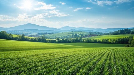 A picturesque countryside with fields of green and a distant mountain range, perfect for a nature escape
