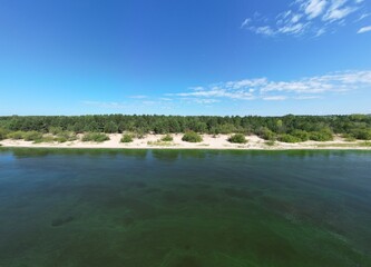 Beach with white sand and green trees.