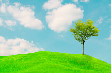 A view of beautiful green field with a tree and fresh grass on a sunny day