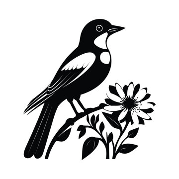 recommend clip art: mockingbird auf blue bonnet flower vector silhouette, magpie icon Simple illustration of male magpie vector icon, Small magpie icon Simple illustration of small magpie vector icon