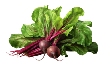 Whole beetroot, washed and scrubbed, separated on a white background.