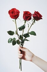 Red Roses in Hand