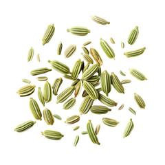 A scattering of green fennel seeds on a black background.  The seeds are arranged in a loose, natural cluster.