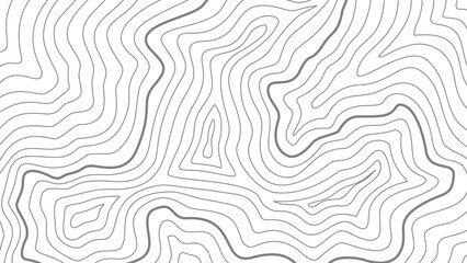 Fototapeta premium contour background. topographic contour background. Topographic map contour background. abstract wavy background. 