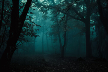 Naklejka premium A dark and gloomy path in the forest in the evening