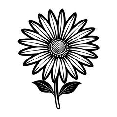 Daisy Flower Vector Illustration - Cartoon, Clipart, and Line Art Design
