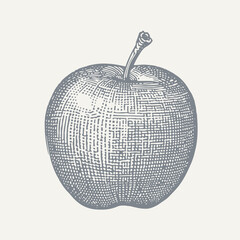 Apple Engraving. Vintage woodcut engraving style vector illustration.