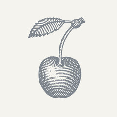 Cherry With a Stem. Vintage woodcut engraving style vector illustration.