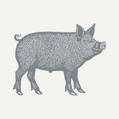 Pig Linocut. Vintage woodcut engraving style vector illustration.