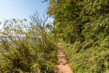 Empty narrow footpath running on the bank of a river on a sunny autumn day