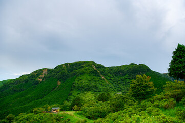 田子山展望所からの景色
