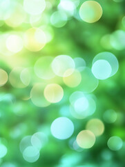 Obraz premium spring light green blur background glowing blurred