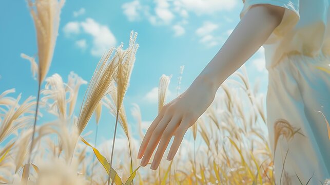 A person in white dress walking through a wheat field, their hand gently touching the golden stalks under a clear blue sky ideal for themes of nature, serenity, and harvest,