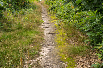 narrow footpath up the hill