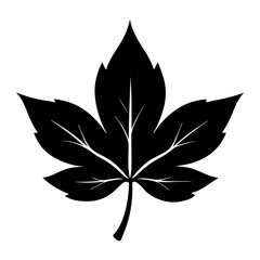 Leaf Silhouette Illustration isolated on white background