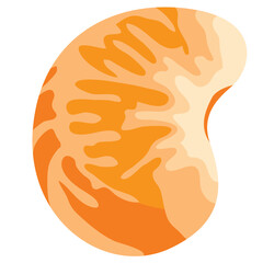 Mandarin Orange Peeled Illustration Isolated on White Background