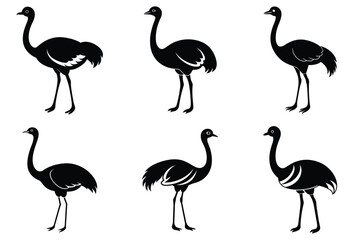 Ostrich silhouette vector illustration