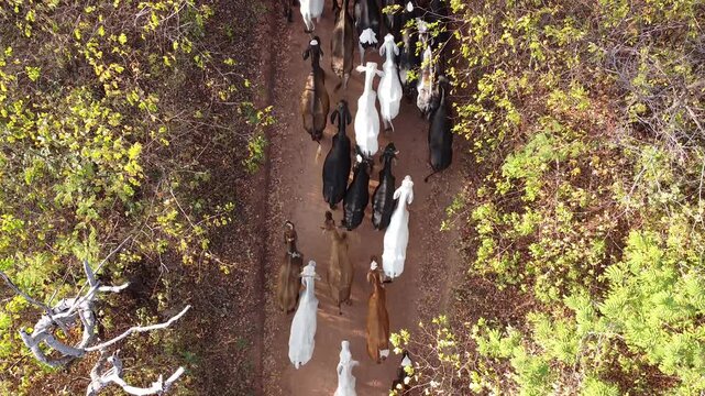 paisagem t&iacute;pica nordestina