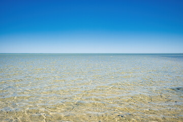 Shallow tropical sea with small waves and a sandy bottom. Clear blue sky. Shark Bay, Denham, Western Australia
