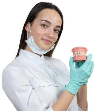 Girl doctor dentist in a white coat holds a mock of teeth.