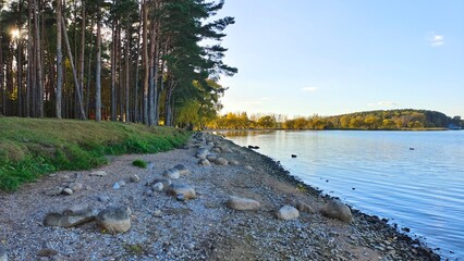 On the sandy shore of the lake are pebbles, boulders and pine trees whose branches overhang the...
