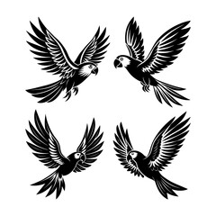 Obraz premium set of parrot bird illustration 