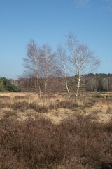 Hoge Veluwe