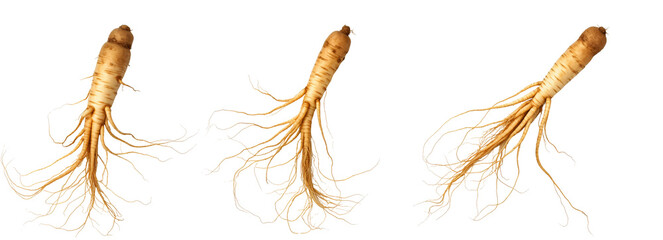 Three ginseng roots are arranged in a row, highlighting their elongated forms and branching roots against a plain white background
