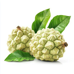 Fototapeta premium Ultra-realistic, high-definition, photograph, ripe, detailed, vibrant, green leaves, natural texture, slight imperfections, realistic light reflections, pure white background, no shadows, professional