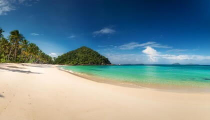 Fototapeta premium beach with trees