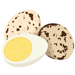 Boiled Quail Egg with Sliced Illustration 