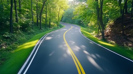 Fototapeta premium Sunlit forest scenic drive with lush green trees, summer, refreshing outdoor escape