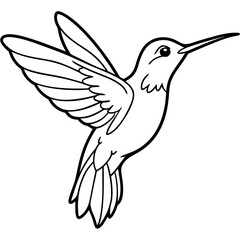 Obraz premium Hummingbird isolated on white, hummingbird vector illustration, bird on a branch vector art, hummingbird silhouette, bird vector icon, hummingbird on a branch line art, eps, hummingbird on a branch ca