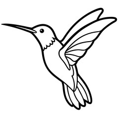 Obraz premium Hummingbird isolated on white, hummingbird vector illustration, bird on a branch vector art, hummingbird silhouette, bird vector icon, hummingbird on a branch line art, eps, hummingbird on a branch ca