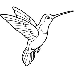 Obraz premium Hummingbird isolated on white, hummingbird vector illustration, bird on a branch vector art, hummingbird silhouette, bird vector icon, hummingbird on a branch line art, eps, hummingbird on a branch ca