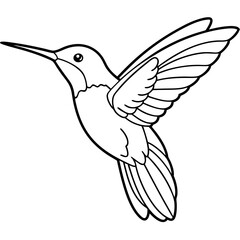 Obraz premium Hummingbird isolated on white, hummingbird vector illustration, bird on a branch vector art, hummingbird silhouette, bird vector icon, hummingbird on a branch line art, eps, hummingbird on a branch ca