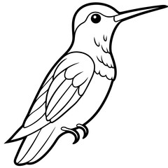 Hummingbird isolated on white, hummingbird vector illustration, bird on a branch vector art, hummingbird silhouette, bird vector icon, hummingbird on a branch line art, eps, hummingbird on a branch ca