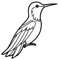 Hummingbird isolated on white, hummingbird vector illustration, bird on a branch vector art, hummingbird silhouette, bird vector icon, hummingbird on a branch line art, eps, hummingbird on a branch ca