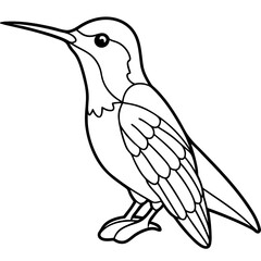 Hummingbird isolated on white, hummingbird vector illustration, bird on a branch vector art, hummingbird silhouette, bird vector icon, hummingbird on a branch line art, eps, hummingbird on a branch ca