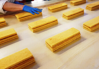 Chocolate Covered Caramel Layer Cake