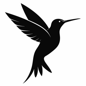recommend clip art: Hummingbird isolated on white, hummingbird vector illustration, bird on a branch vector art, hummingbird silhouette, bird vector icon, hummingbird on a branch line art, eps, hummingbird on a branch ca