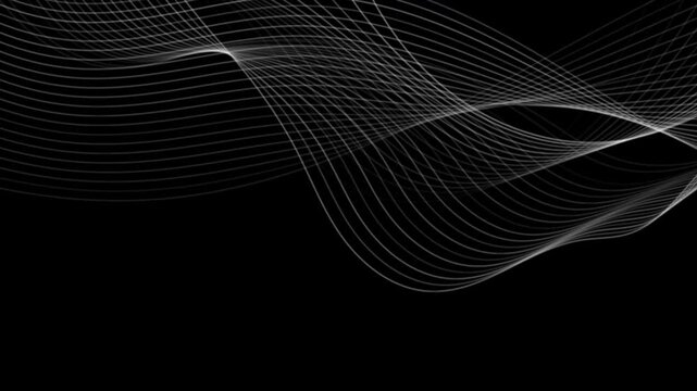 Grey abstract curved wavy lines on black background. Seamless looping futuristic minimal black and white motion design. Video animation Ultra HD 4K 3840x2160