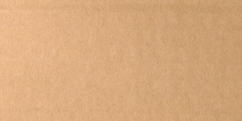 Vector seamless texture of kraft paper background. Brown blank paper texture background macro close up view